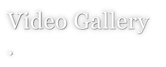 Video Gallery .
